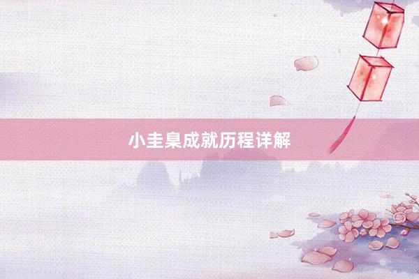 小圭臬成就历程详解